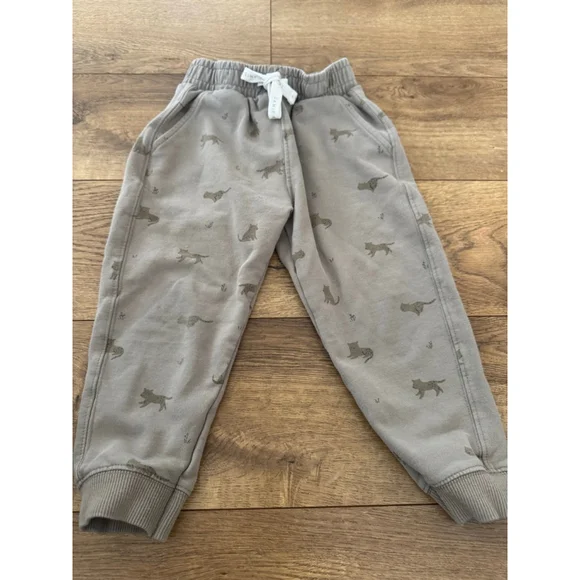 Boys Jamie Kay Sweatpants & Joggers 3T Gray - Picture 1 of 4